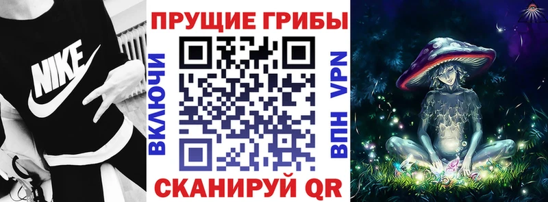 Галлюциногенные грибы MAGIC MUSHROOMS  Дубовка 